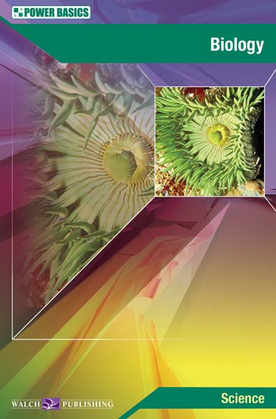 Power Basics - Biology Kit from Walch Publishing