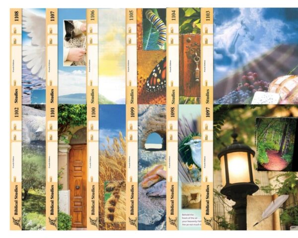 New Testament Survey Pace Set (4th Edition) by Accelerated Christian Education ACE