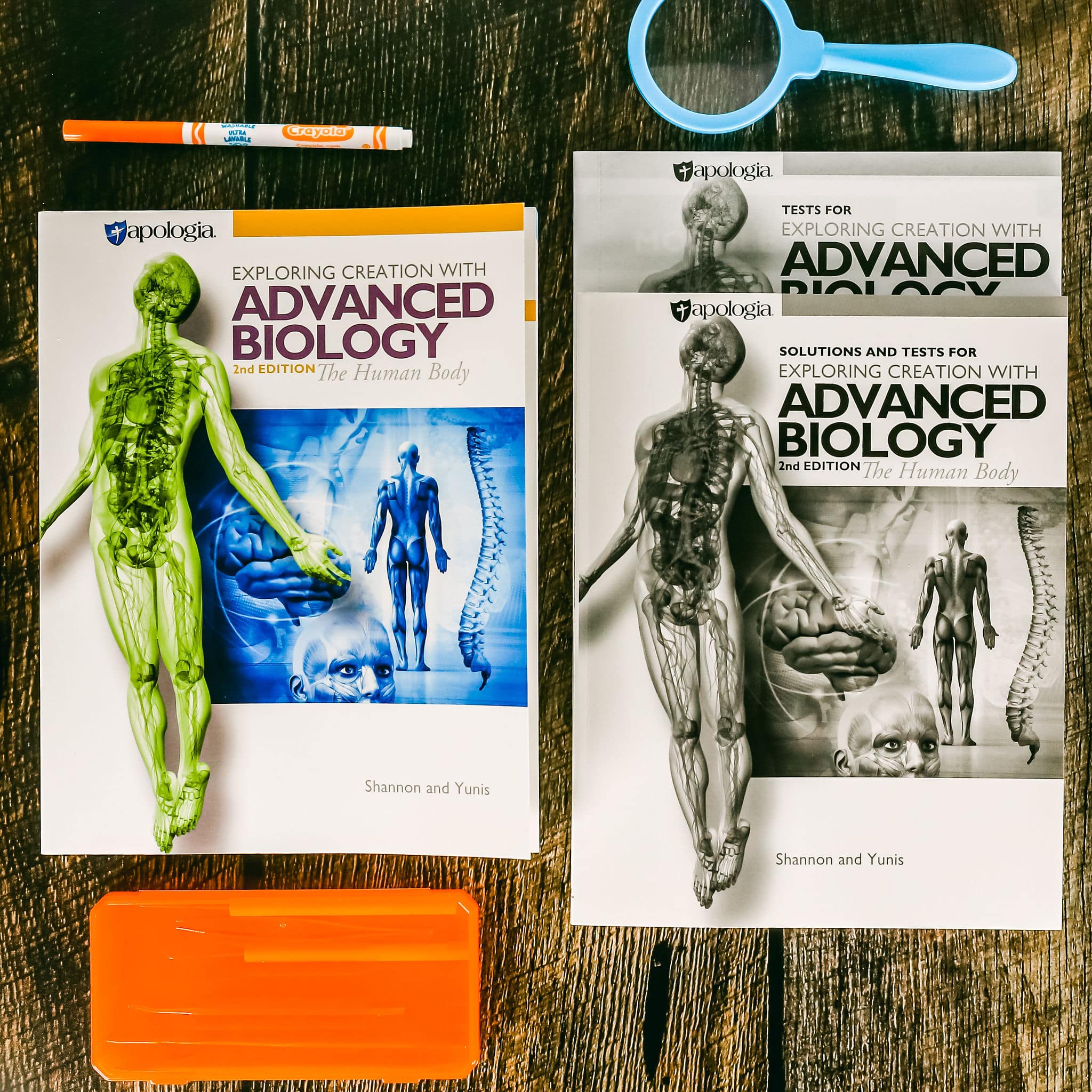 Advanced Biology: The Human Body Book Set from Apologia