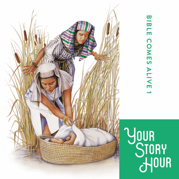Bible Comes Alive Volume 1 by Your Story Hour